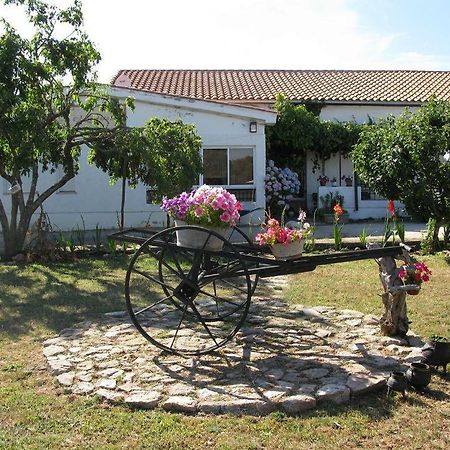 El Condado Casa Rural Fuentes de Onoro Esterno foto